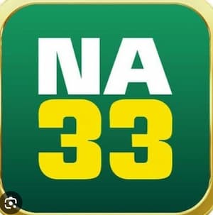 NA33 APK